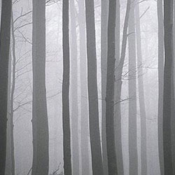 ©Tomaž Ovčak
