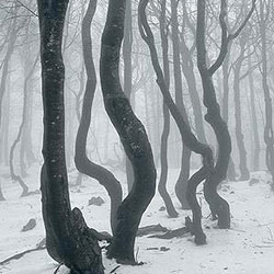 ©Tomaž Ovčak